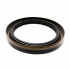 3095045 81965030201 A0219978047 Retentor Traseiro Interno do Cambio ZF 0750111159