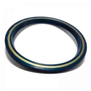 0169977747 0169975846 A0169977747 Retentor Cubo de Roda