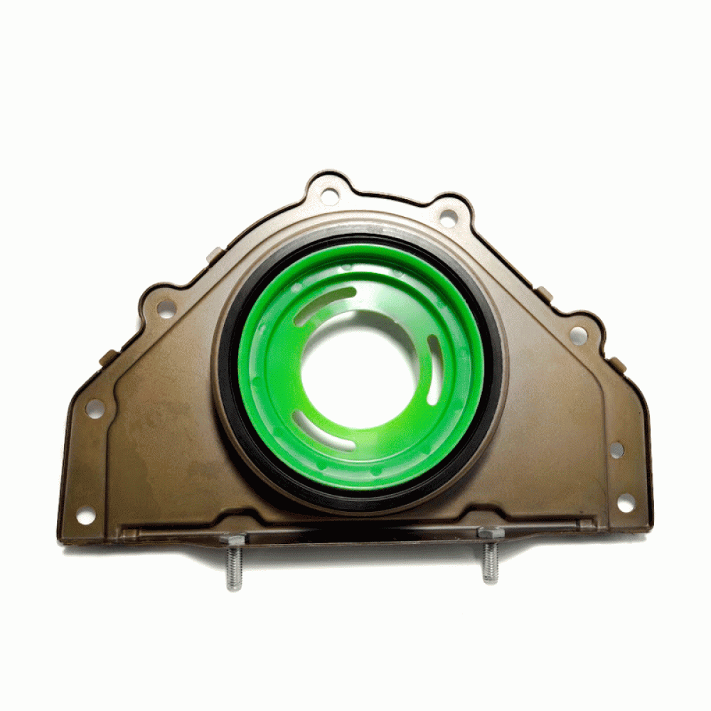 5175829AA 4663622A JV1719 BS40690 Retentor Traseiro do