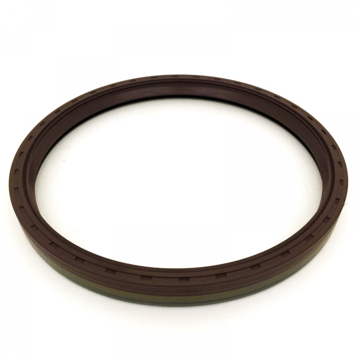 500056376 40101733 Retentor do Cubo de Roda Traseiro IVECO ...