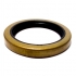 A1205V1556 CO027  2104008573 Retentor do Eixo S Traseiro MASTER