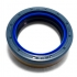 219000498 Retentor do Cubo Dianteiro RANDON RD 406 ADVANCED