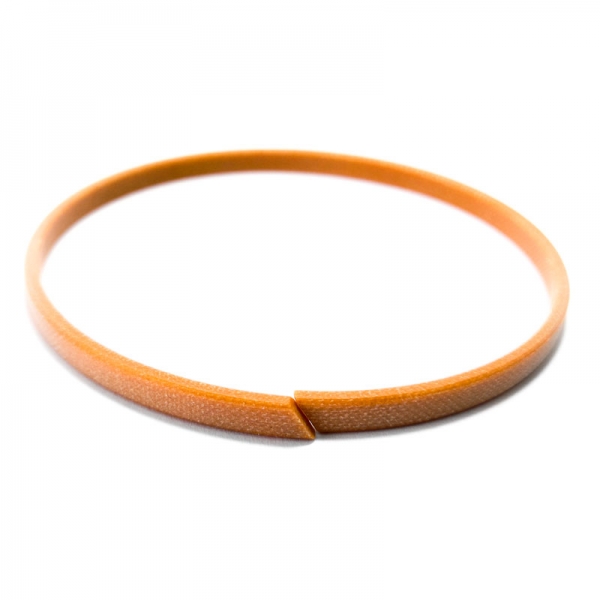  2T2311101 8198843 Guia Embolo Cambio ZF 9S 0750112096