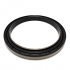219000495 Retentor do Cubo Dianteiro RANDON RD 406 ADVANCED