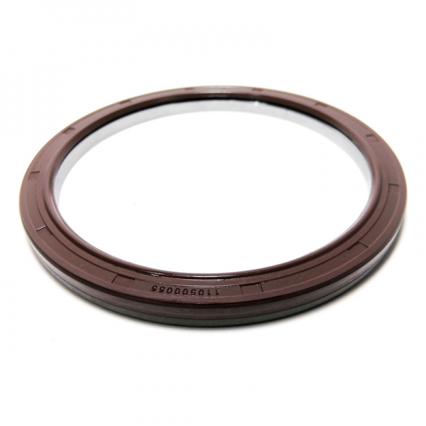 110500055 Retén de Entrada Reducción del Eje Portal