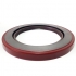 2035569 07047487 49834 406625 Retentor da Transmissão HYSTER DANA 84542